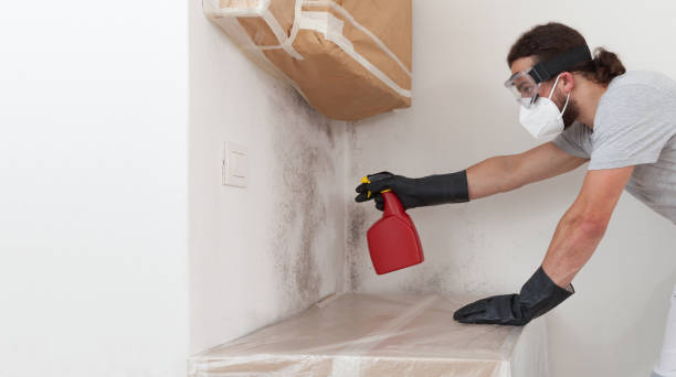 Professional Basement Mold Remediation technician working in Schaumburg, IL