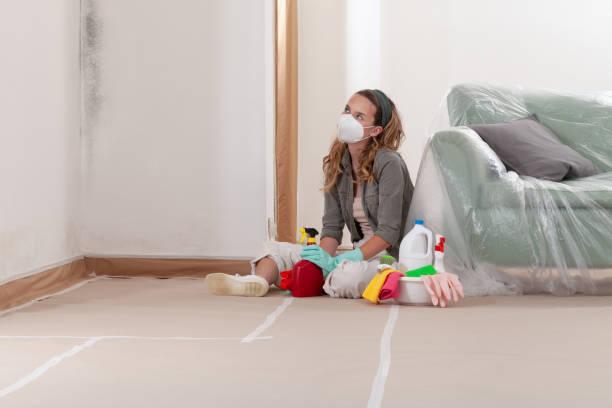 Reliable Basement Mold Remediation contractor in Schaumburg, IL by 24 Hour Mold Removal